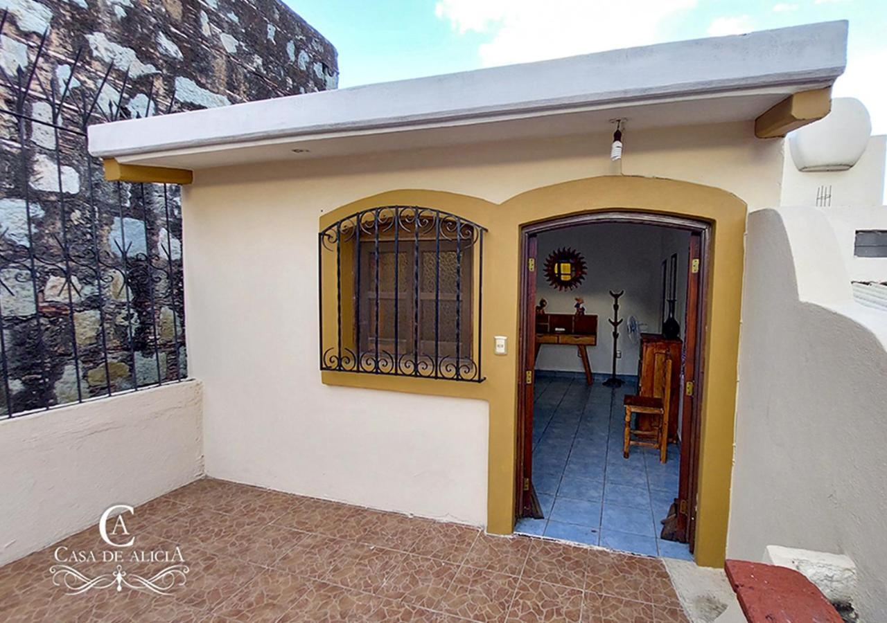 Casa De Alicia Habitacion Monte Alban Apartman Oaxaca Kültér fotó